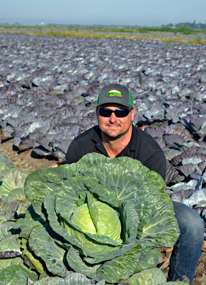 JOHNATHAN WITH CABBAGE