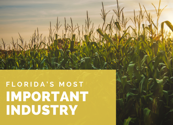Florida’s Most Important Industry